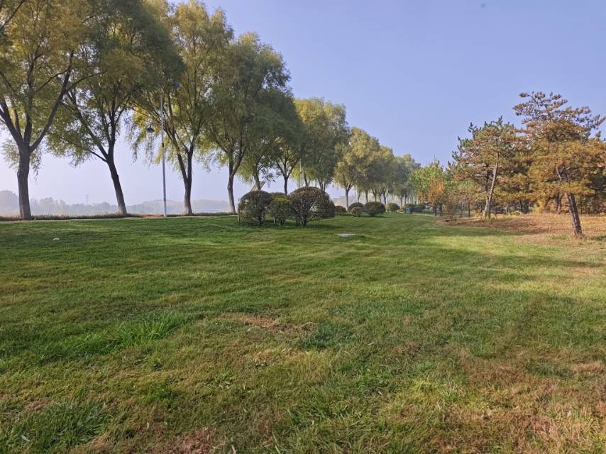 找自驾旅行老伴搭子