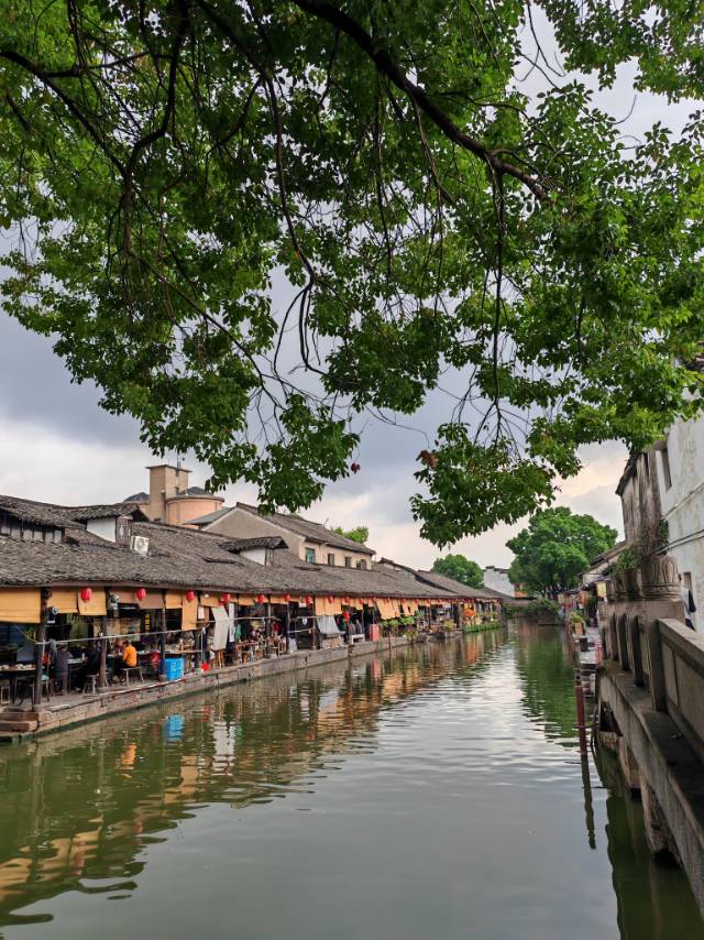 找吃下午茶老伴搭子