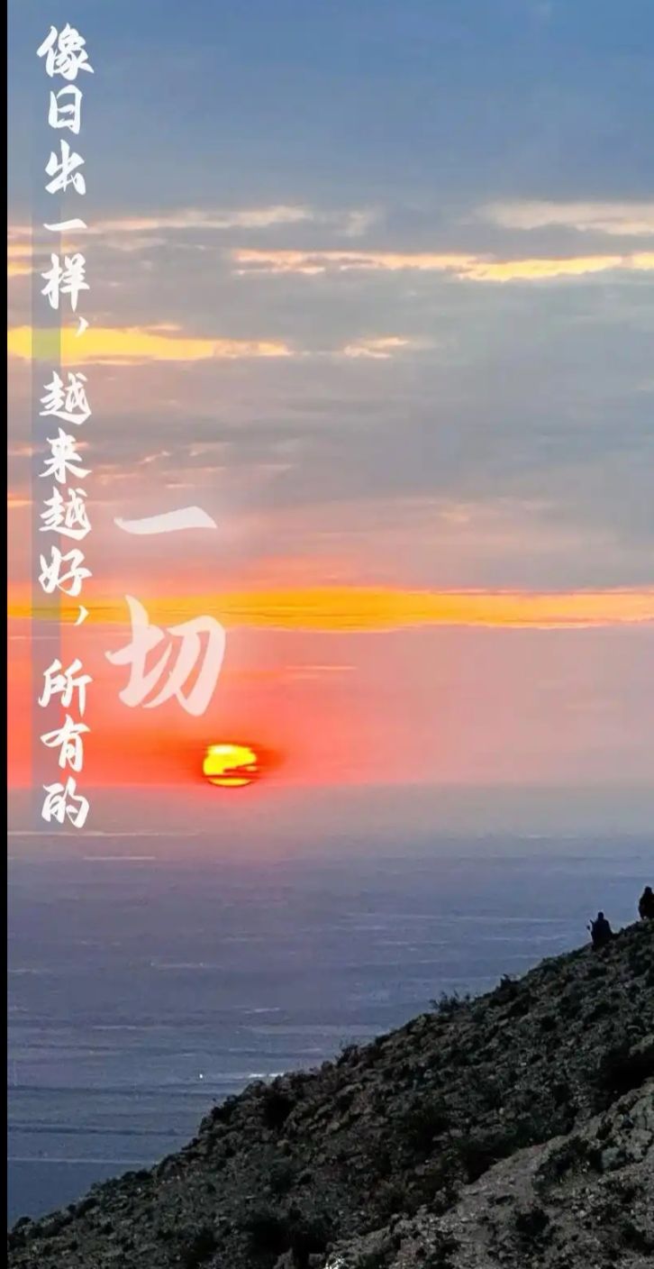 找生活伴侣老伴搭子