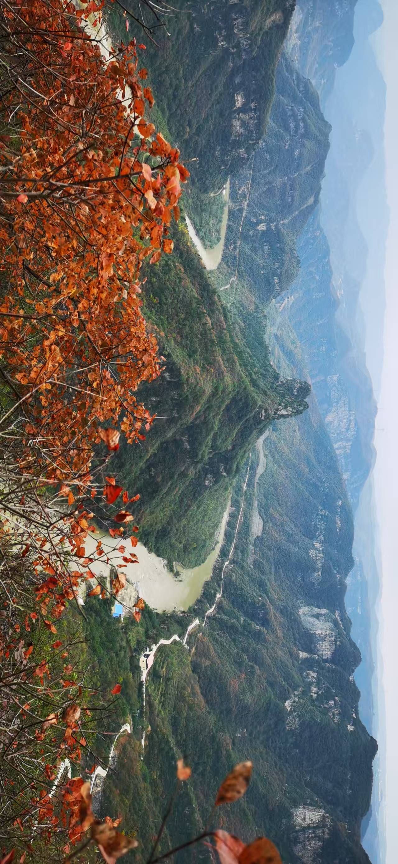 找聊天旅游同频老伴搭子