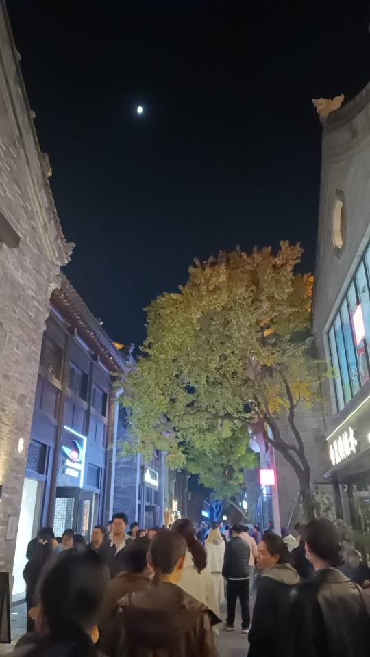 找散步跳舞逛老伴搭子