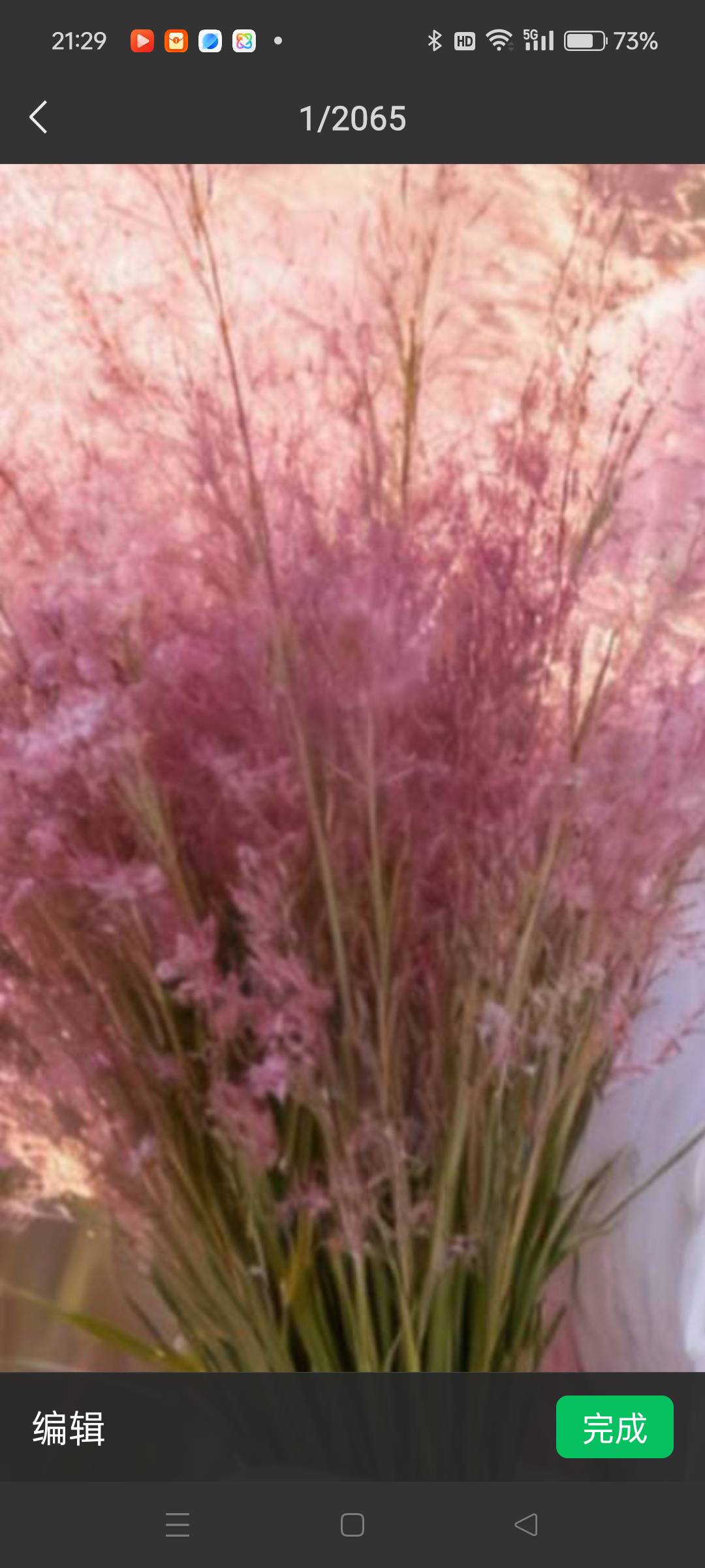 找守信老伴搭子