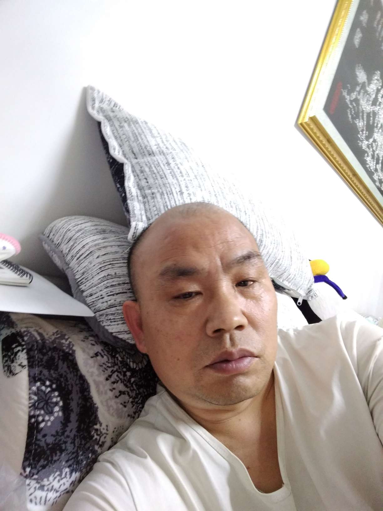 找伴侣老伴搭子