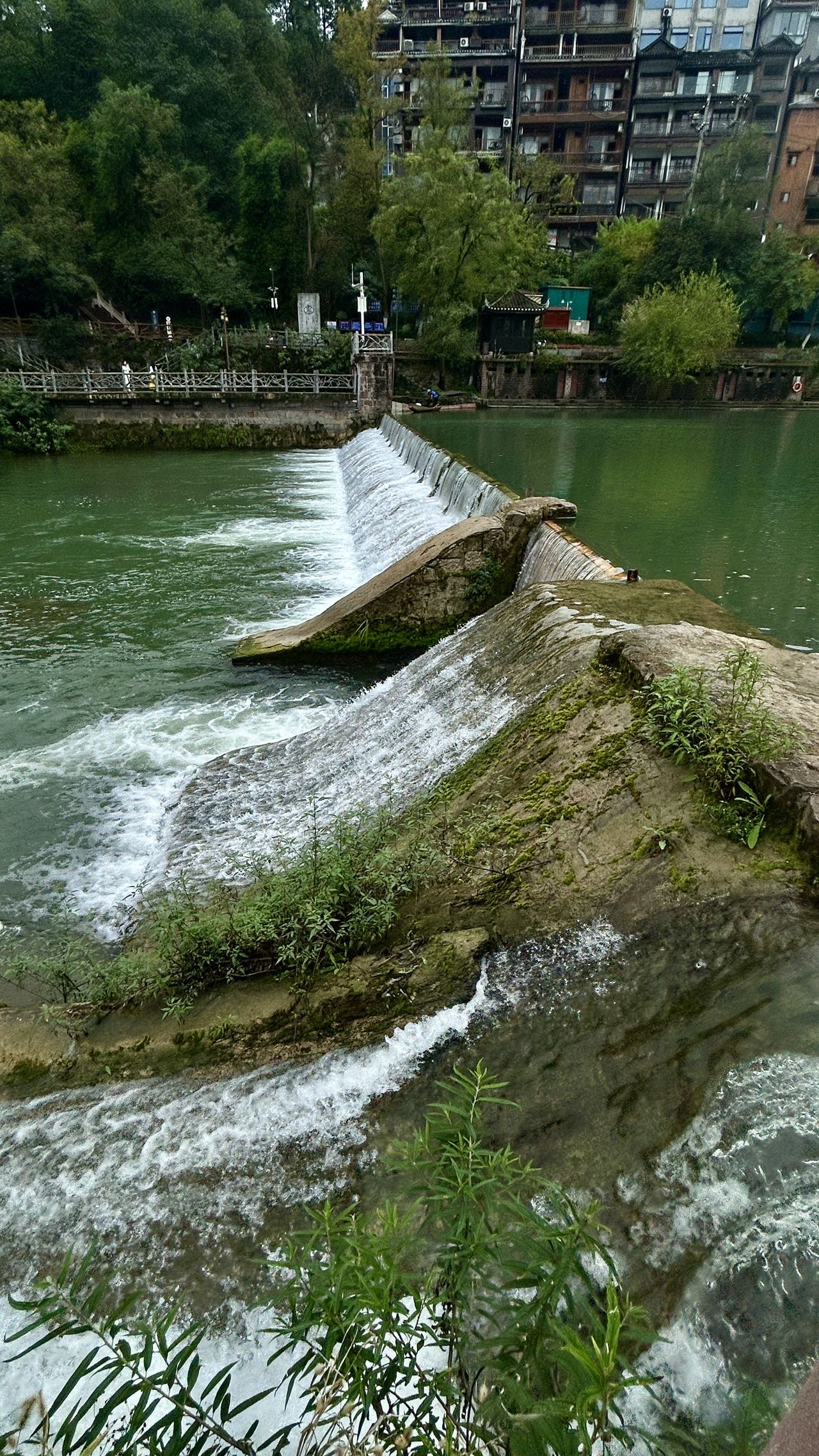 找運動老伴搭子