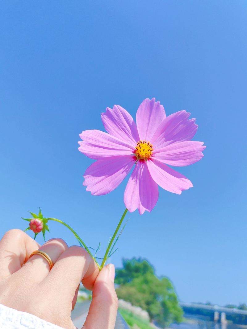 找生活伴侣老伴搭子