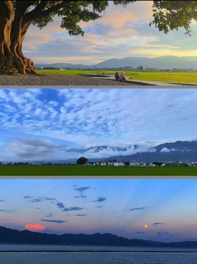 找聊天老伴搭子