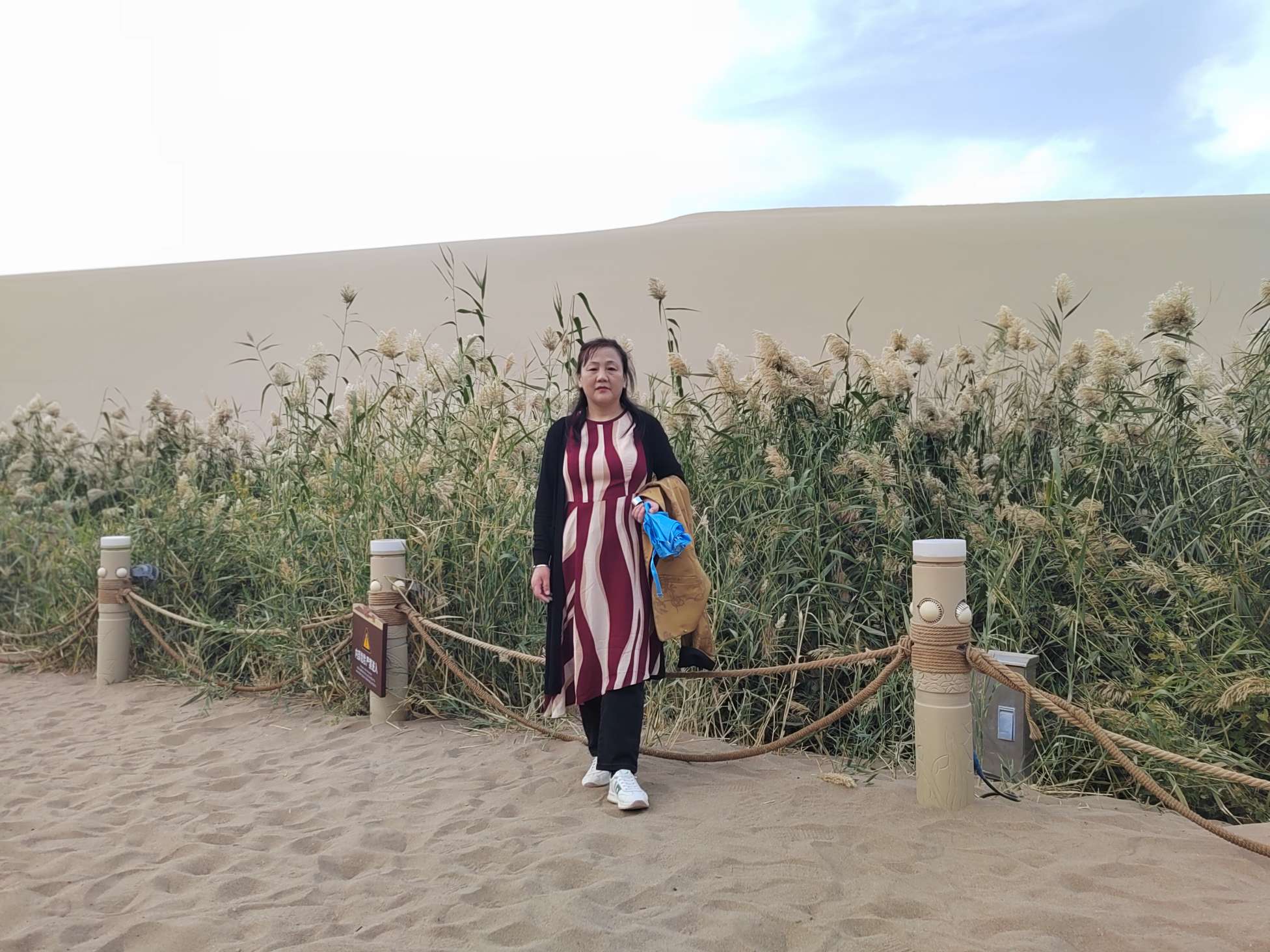 找老伴老伴搭子