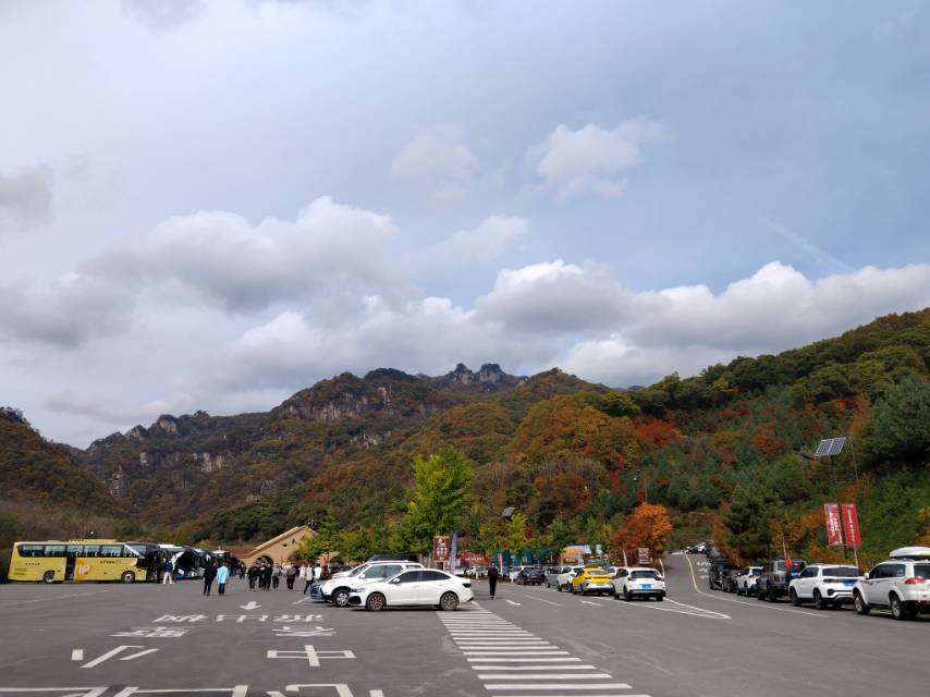 找旅居老伴搭子