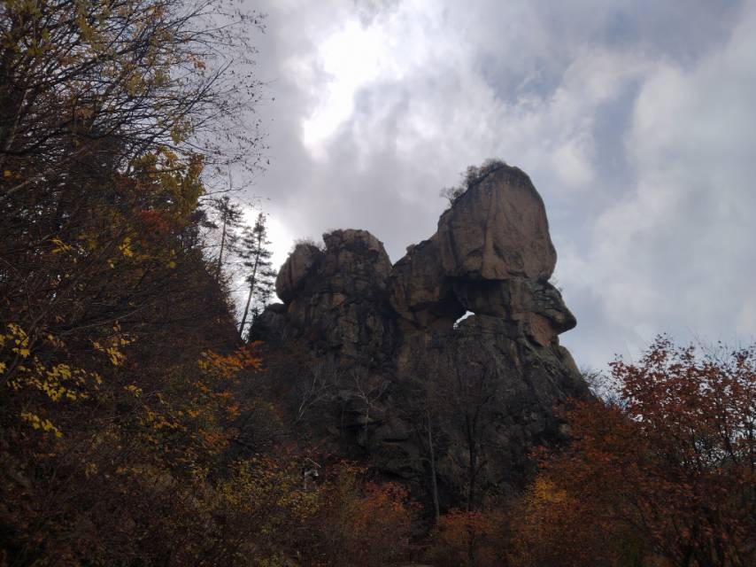 找旅居老伴搭子
