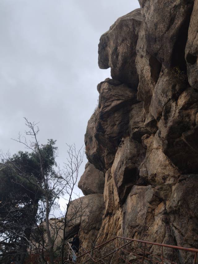 找旅居老伴搭子