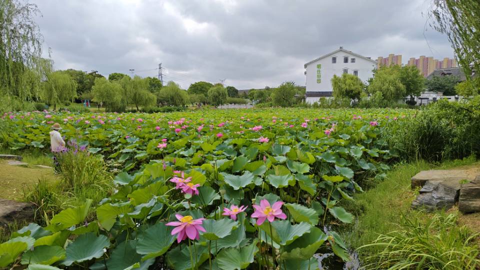 找步行老伴搭子
