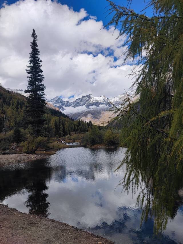 找聊天老伴搭子