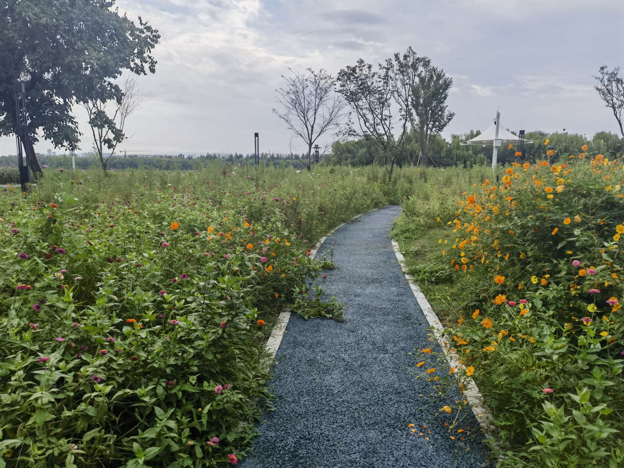 找休闲老伴搭子