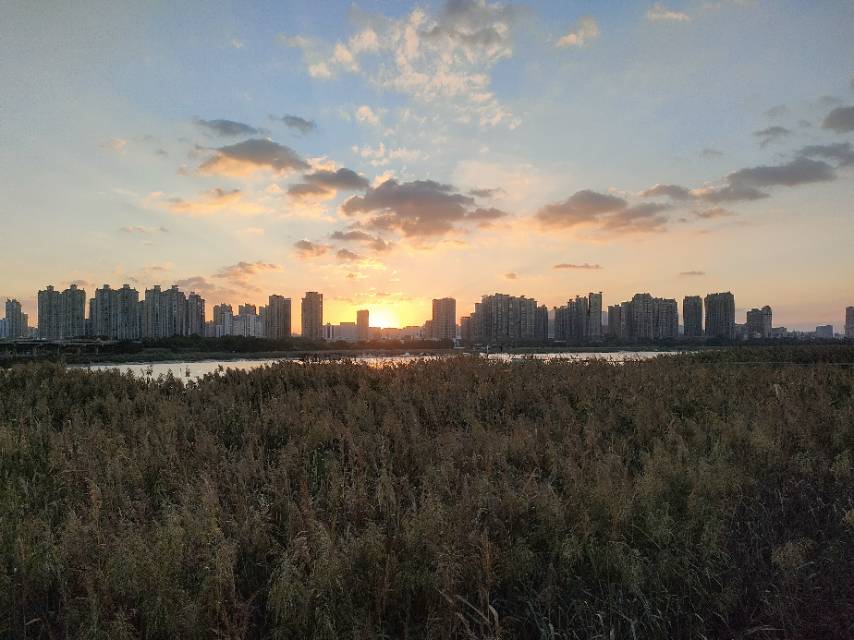 找运动老伴搭子