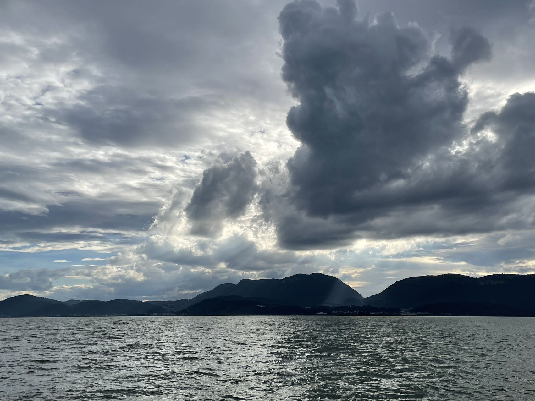 找运动老伴搭子