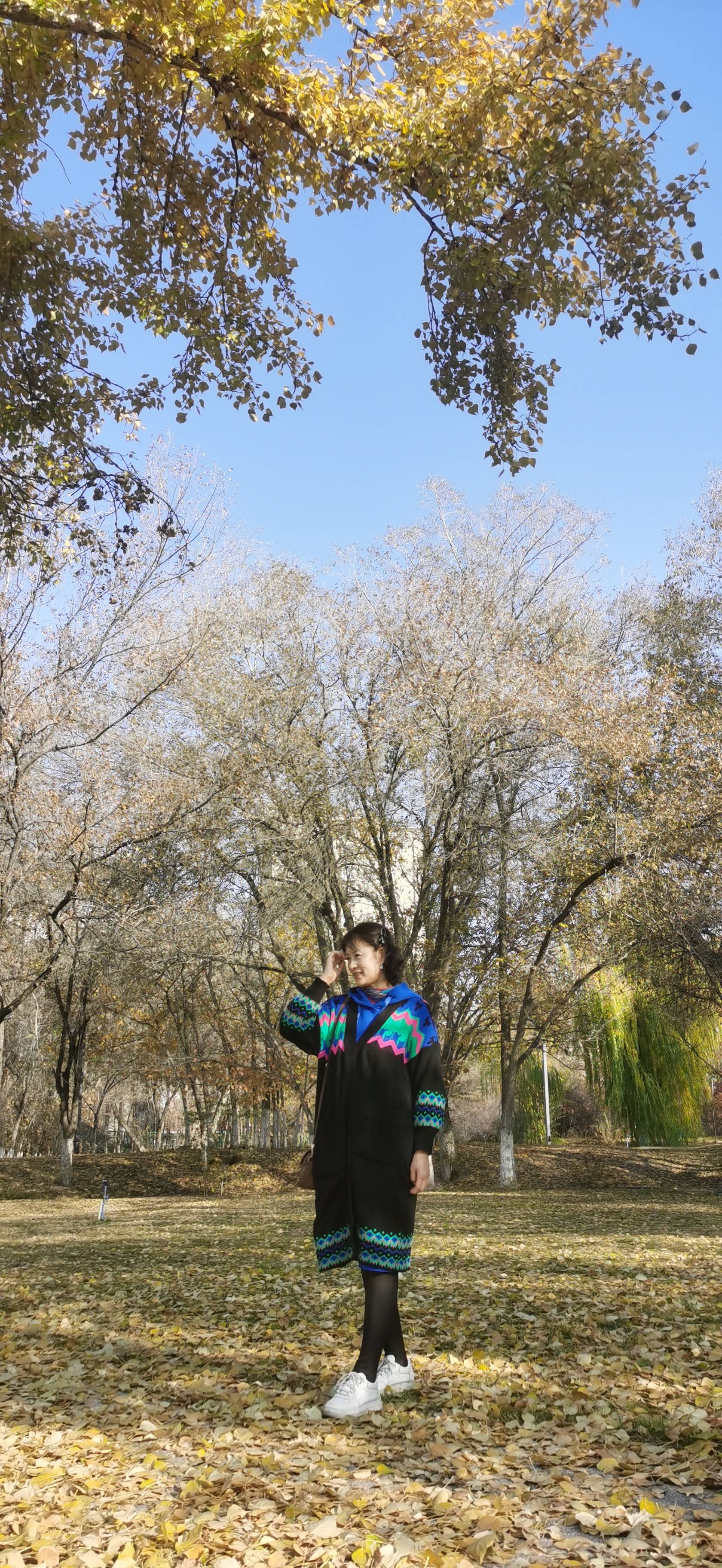 找生活老伴搭子