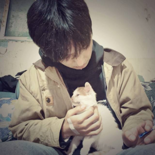 找随便老伴搭子