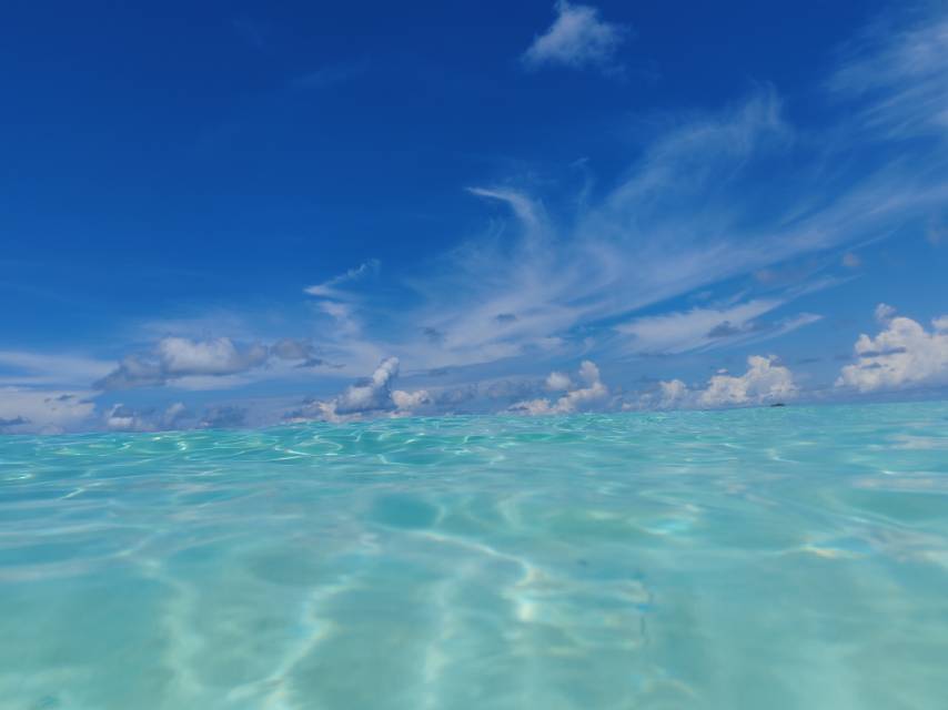 找旅行老伴搭子