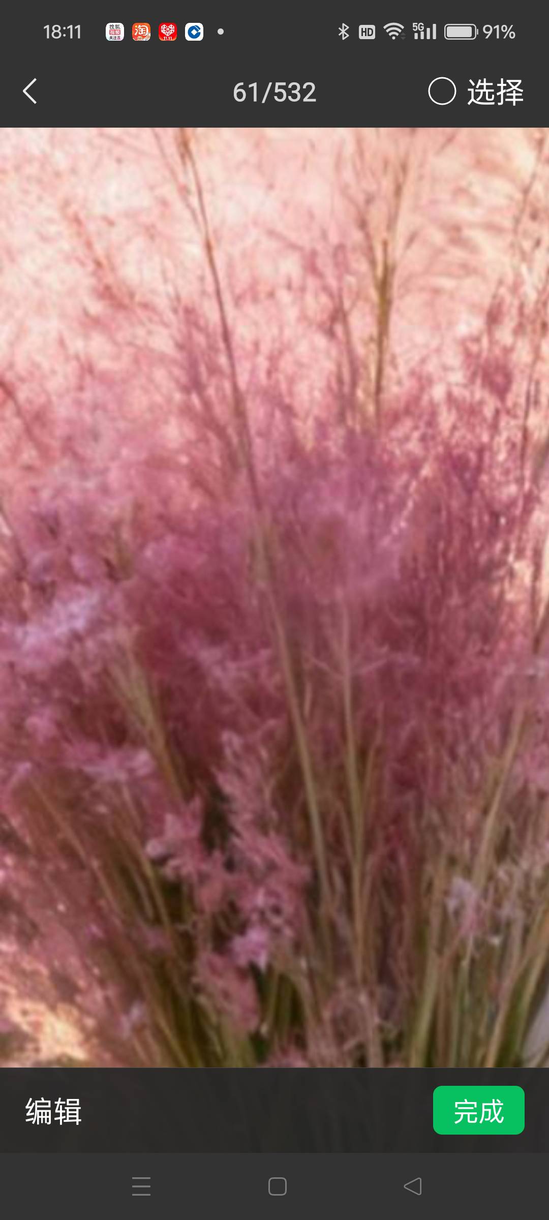 找守信老伴搭子