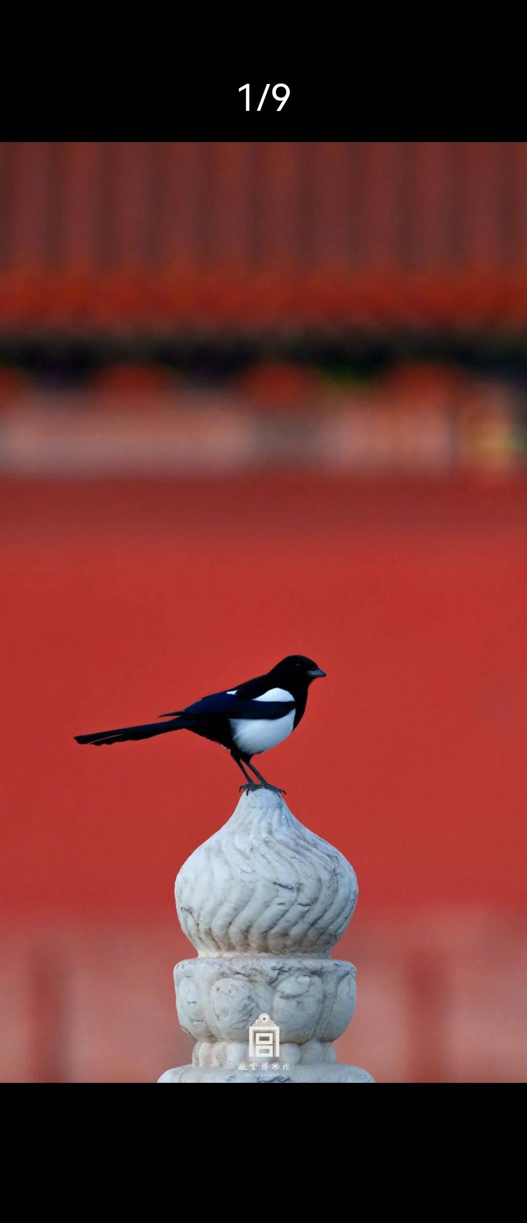 找运动老伴搭子