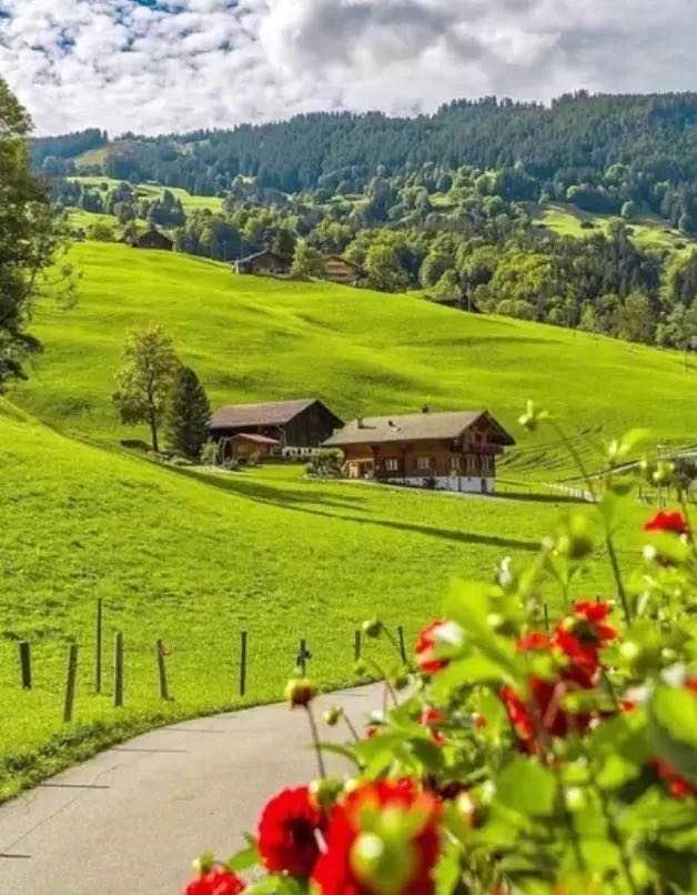 找运动老伴搭子