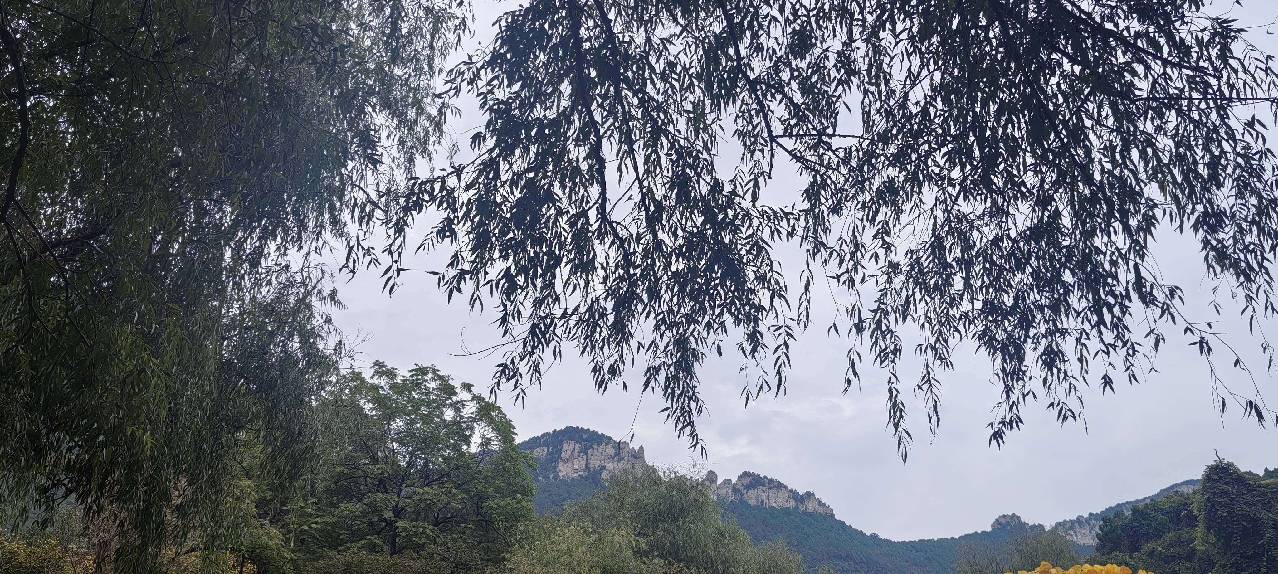 找运动老伴搭子