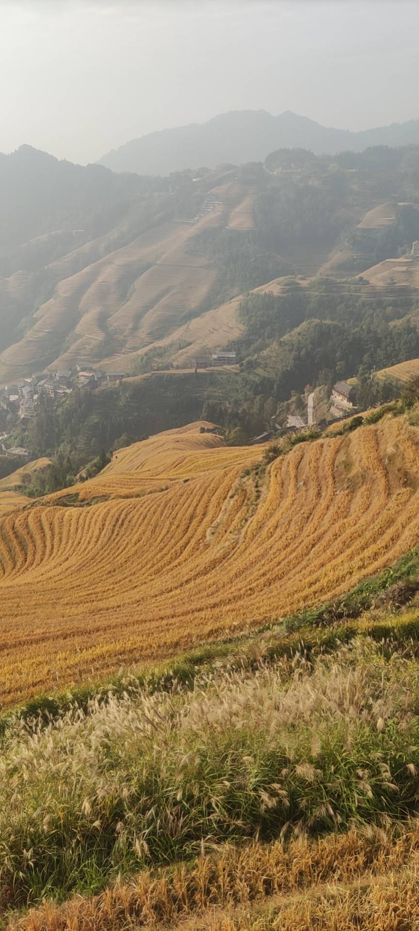 找打球老伴搭子