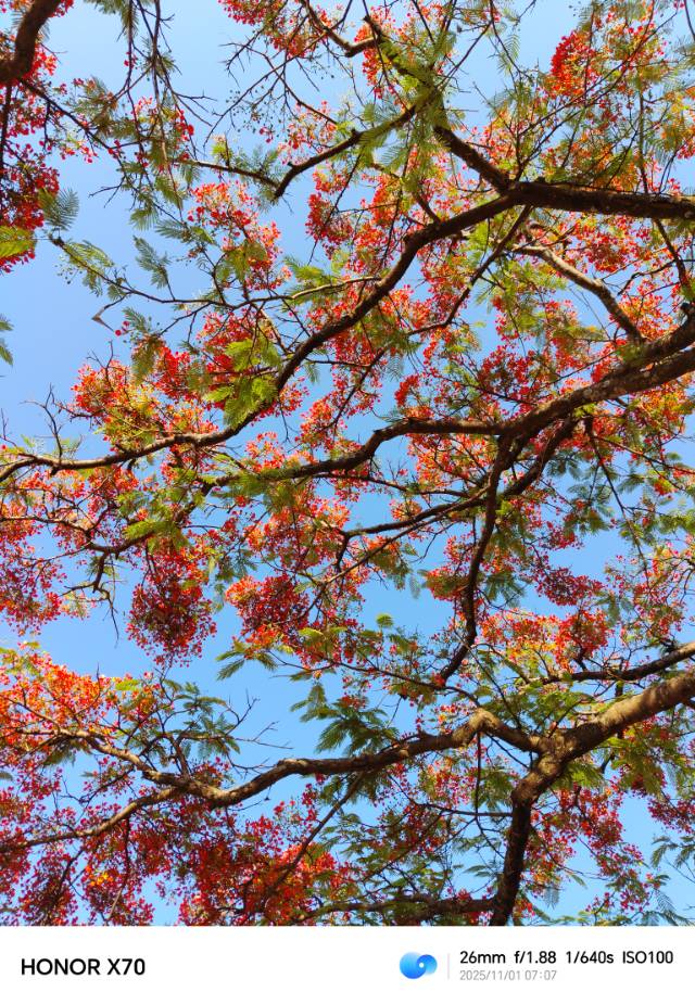 找运动老伴搭子