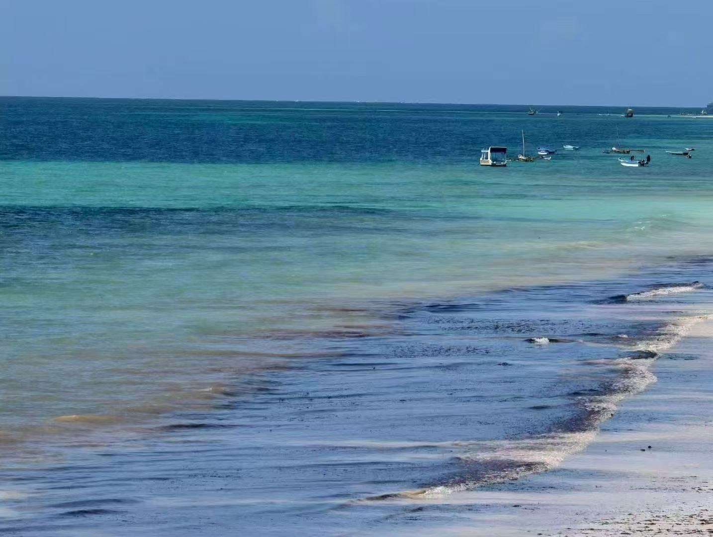 找运动老伴搭子