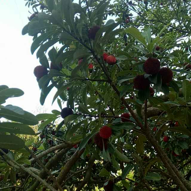 找聊天老伴搭子