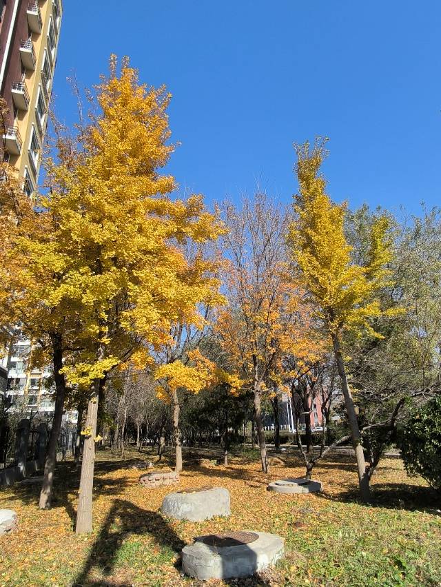 找散步老伴搭子