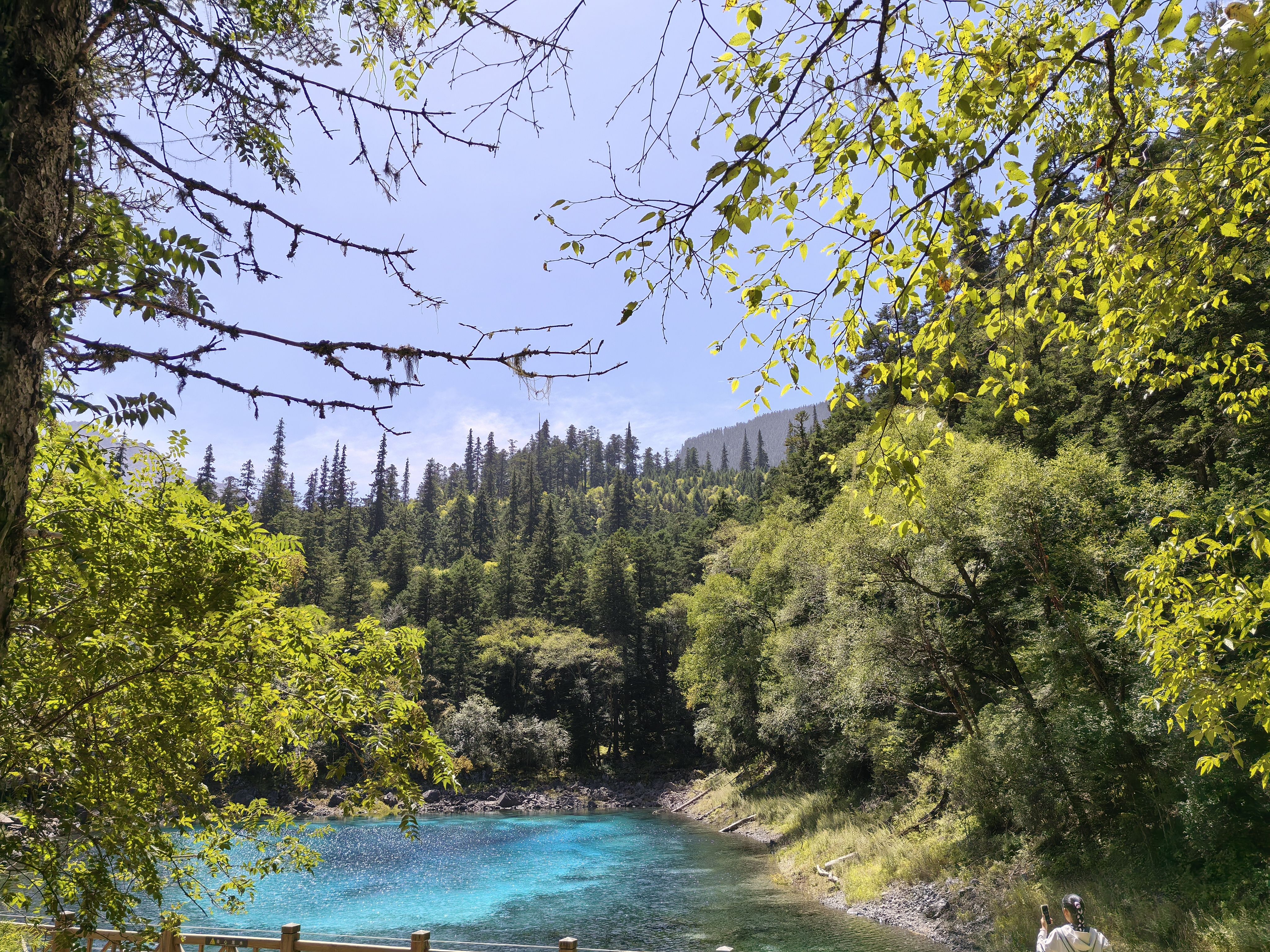 找过日子老伴搭子