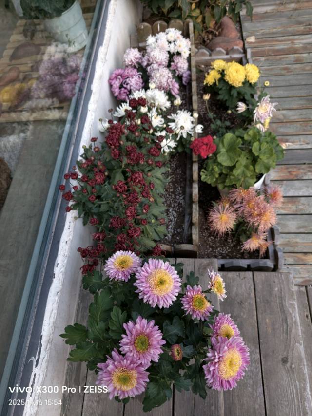 找旅游老伴搭子