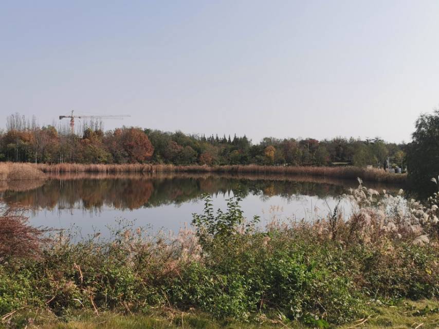 找旅游老伴搭子