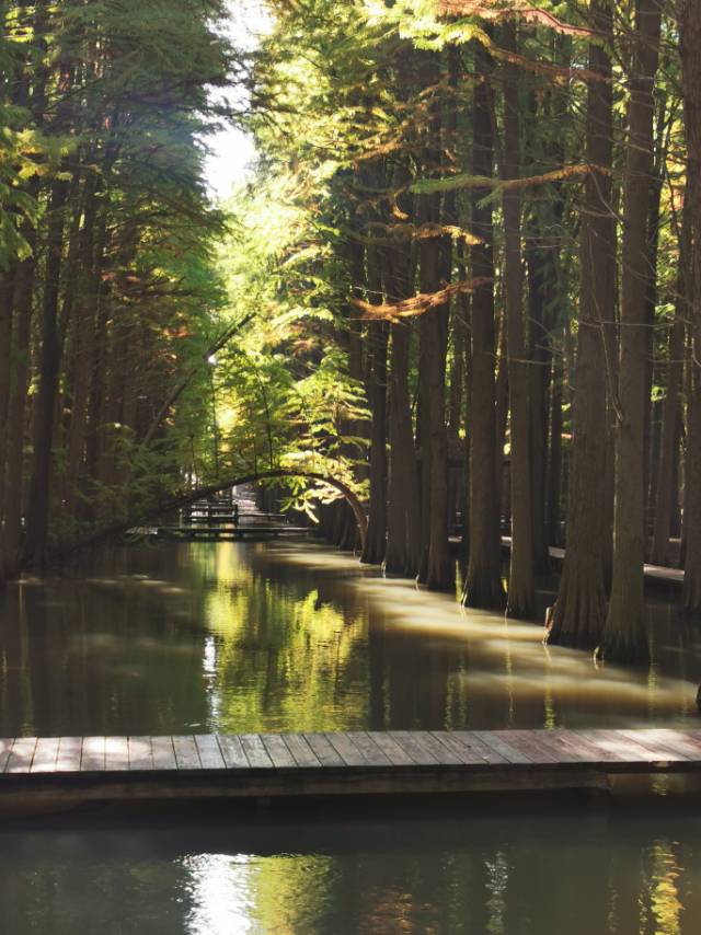 找旅游老伴搭子