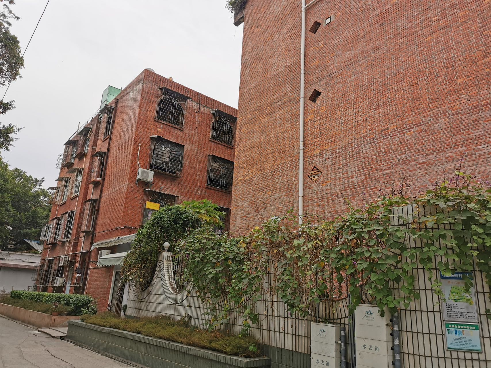 找运动老伴搭子