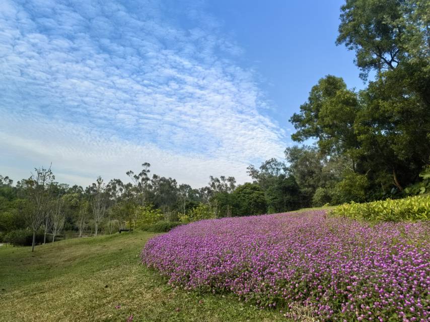 找运动老伴搭子