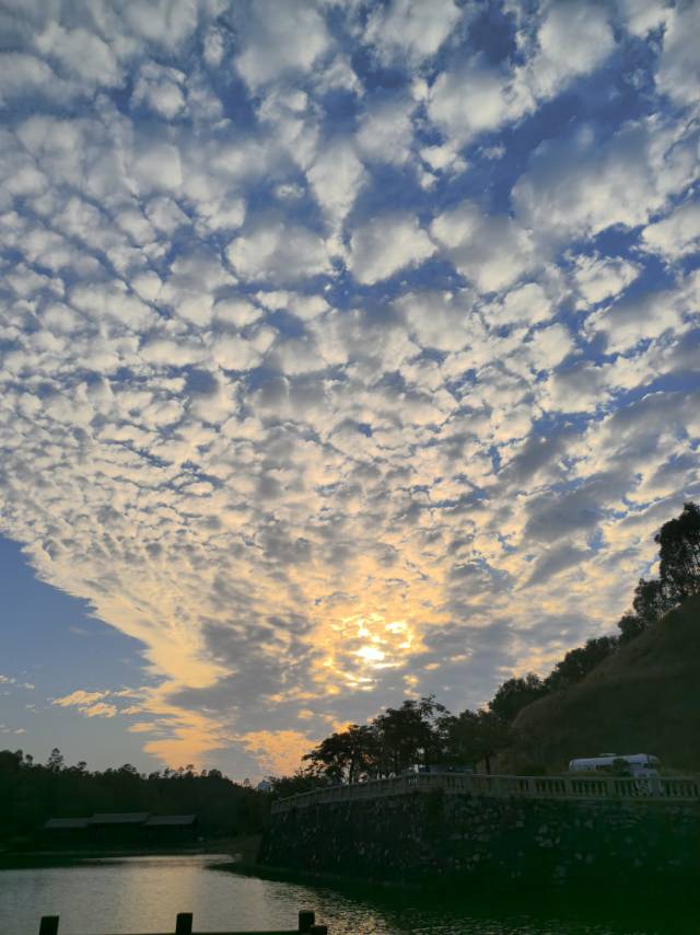 找运动老伴搭子