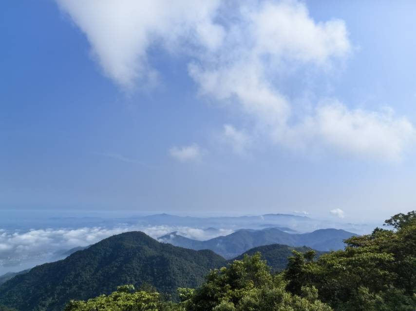 找运动老伴搭子