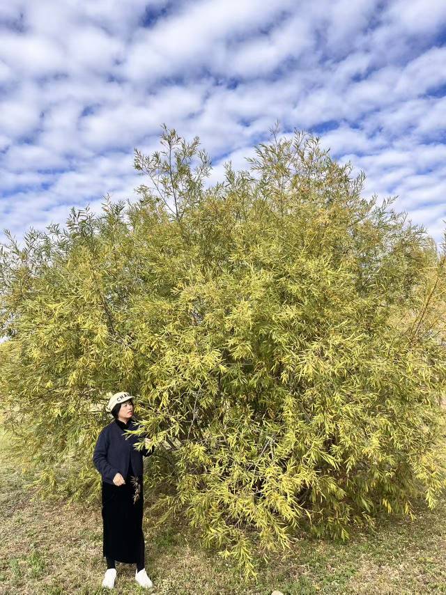 找散步跳舞老伴搭子