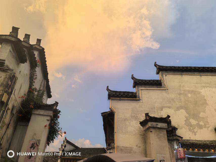 找爱生活老伴搭子