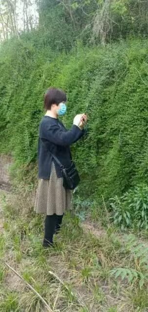 找有眼缘老伴搭子