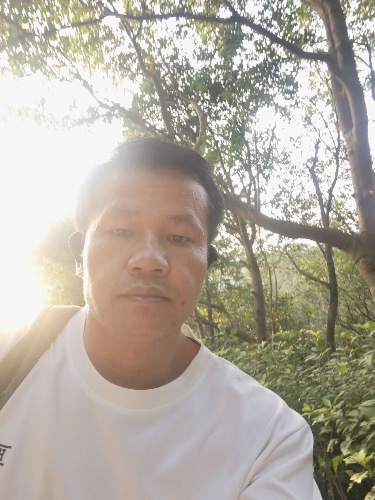 找散步看剧爬山老伴搭子