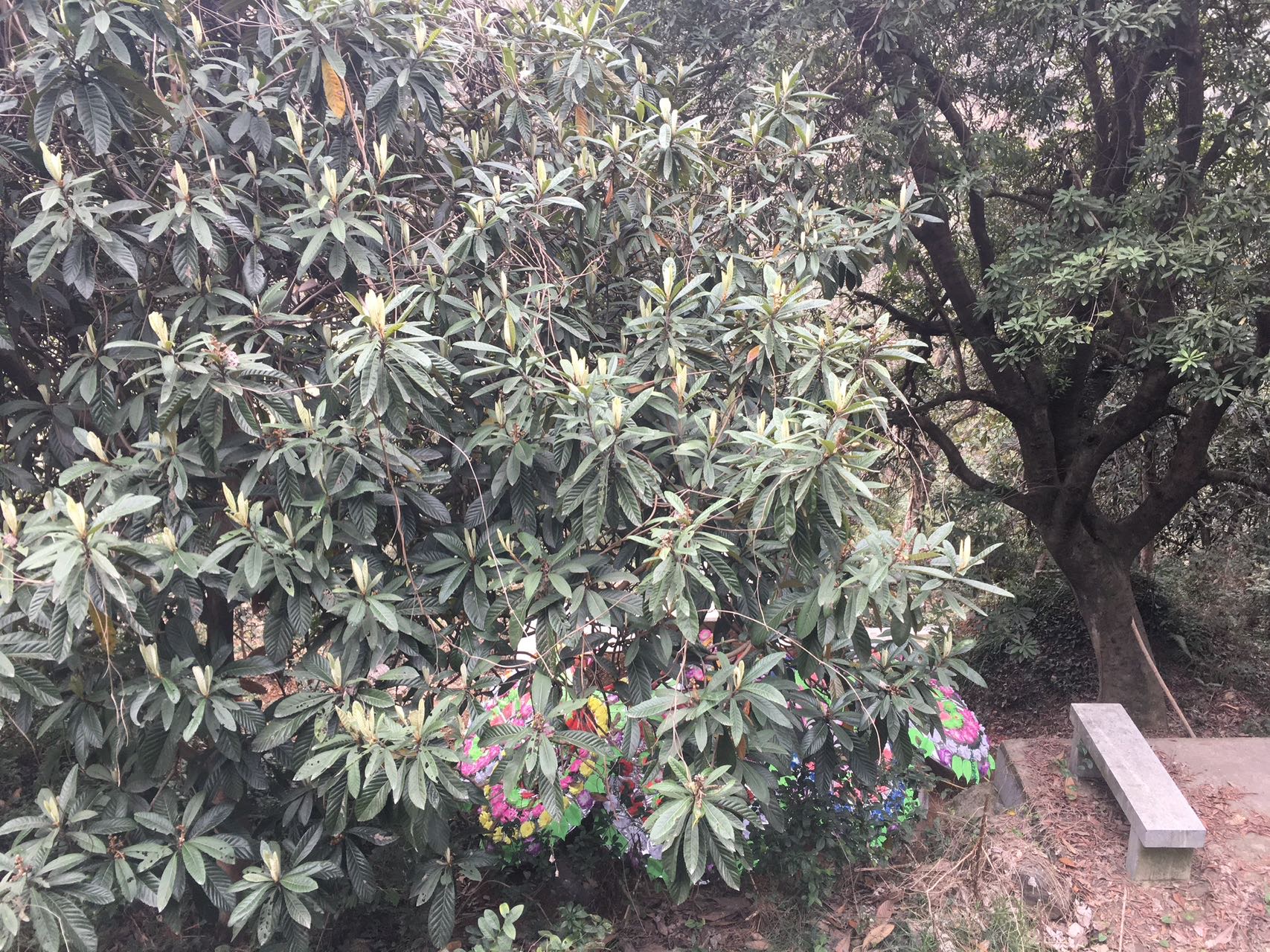 找陪伴老伴搭子