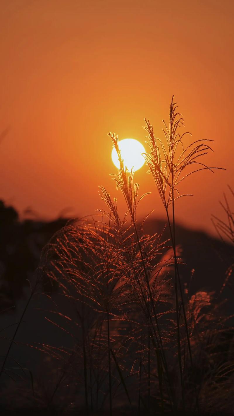 找逛街老伴搭子