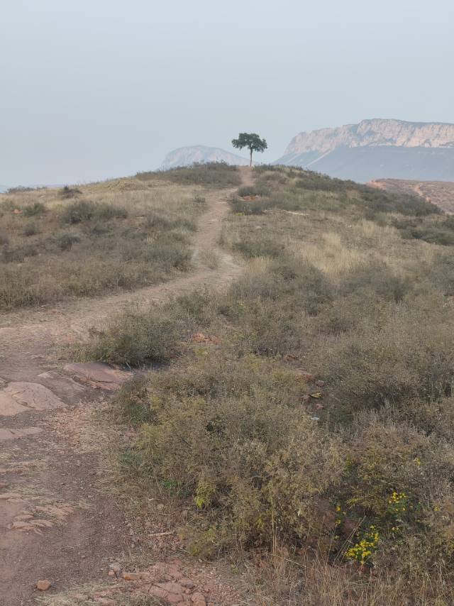 找健身老伴搭子