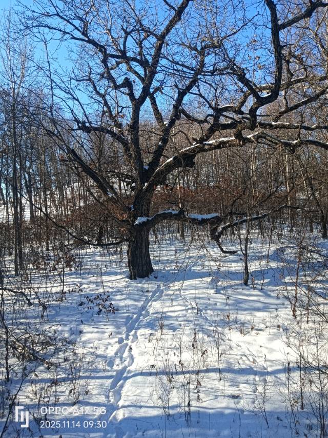 找旅游老伴搭子