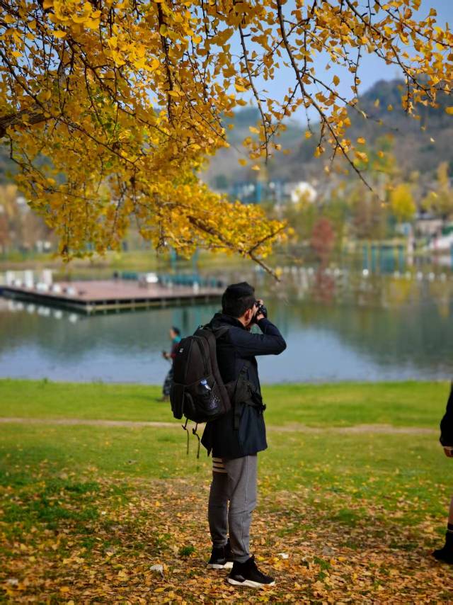 找恋爱老伴搭子