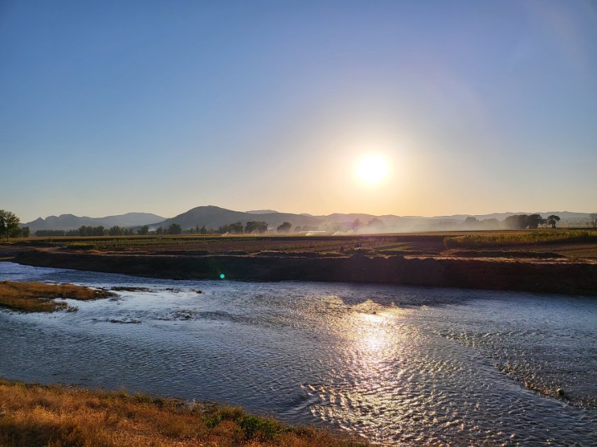 找聊天老伴搭子