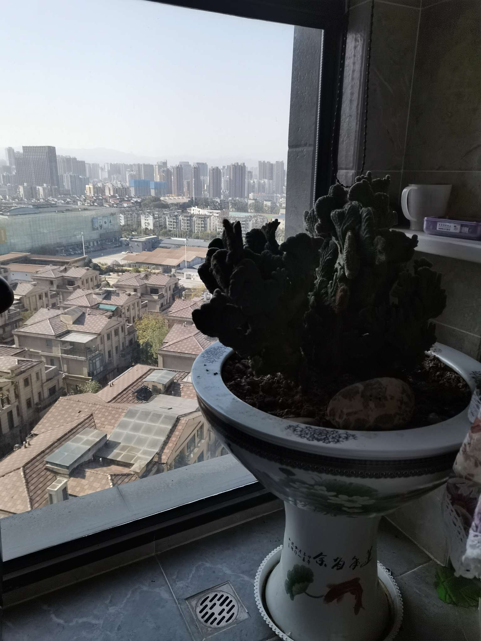 找聊天老伴搭子